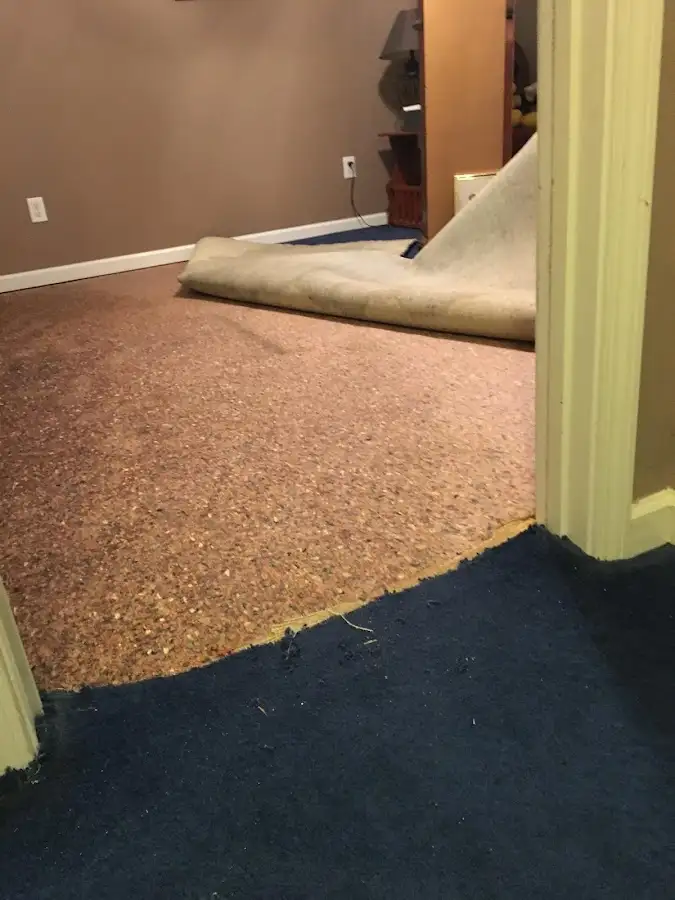 Carpet pad removal revealing water damage during Water Mitigation Services in Bowling Green