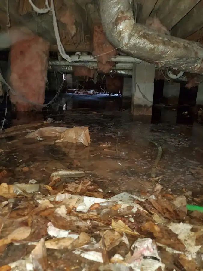 Crawl space flood assessment for Commercial Water Damage Restoration in Bowling Green