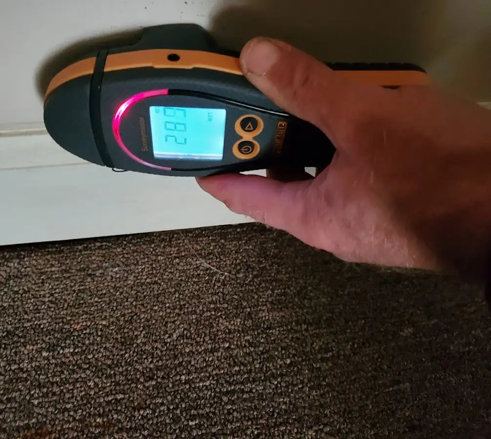Moisture detection at baseboard during Burst Pipe Cleanup in Bowling Green